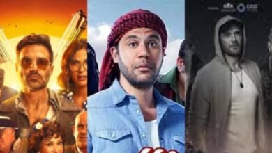 أفلام السينما تحصد 701 ألف جنيه في آخر ليلة عرض بالسينمات