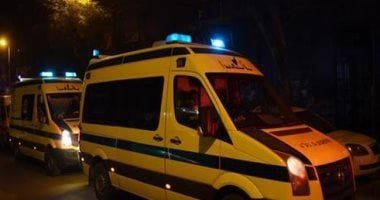 إصابة 12 شخصا فى انقلاب ميكروباص على طريق "الخارجة – أسيوط" بالوادى الجديد